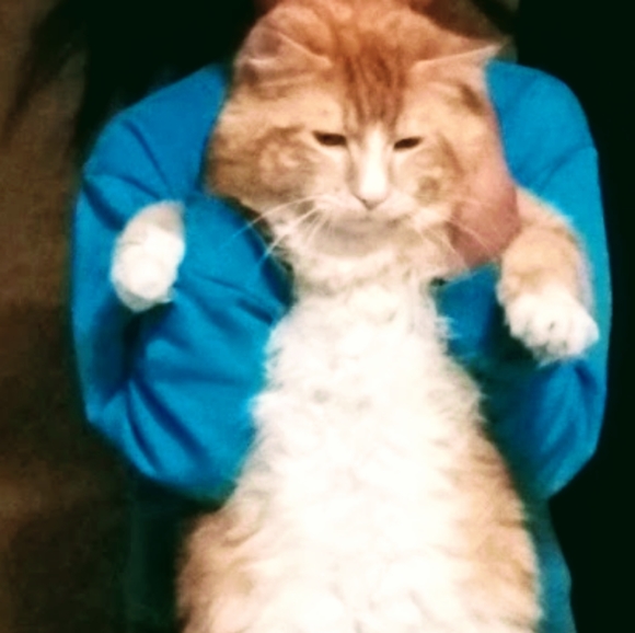 Clothing, Household Items and more!! - Picture 2 of 6